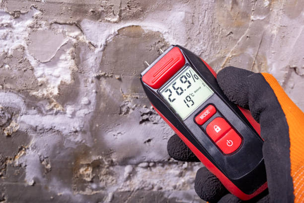 Best HVAC Mold Remediation in Byron Center, MI